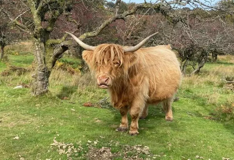 ベッドアンドブレックファースト Mole End