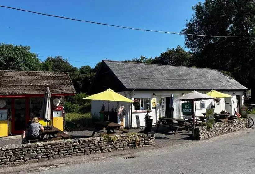 ベッドアンドブレックファースト Mole End