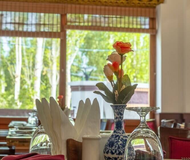 Gyalpo Residency   A Mountain View Luxury Hotel In Leh