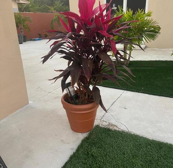 פנסיון Paradise Oasis1