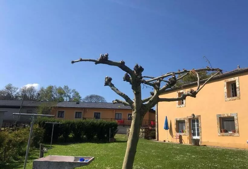 Albergue O Cruceiro