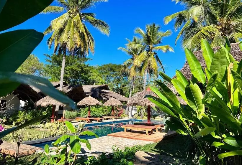 هتل Natshi Lodge