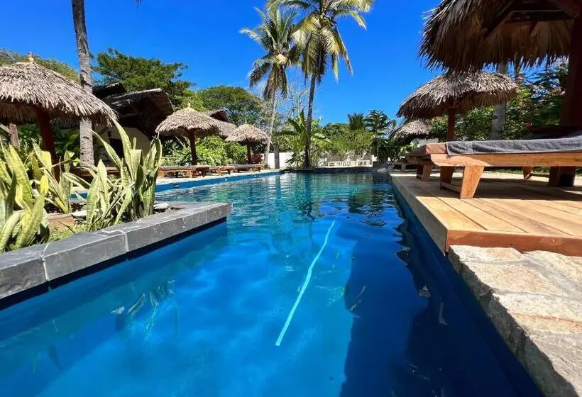 هتل Natshi Lodge