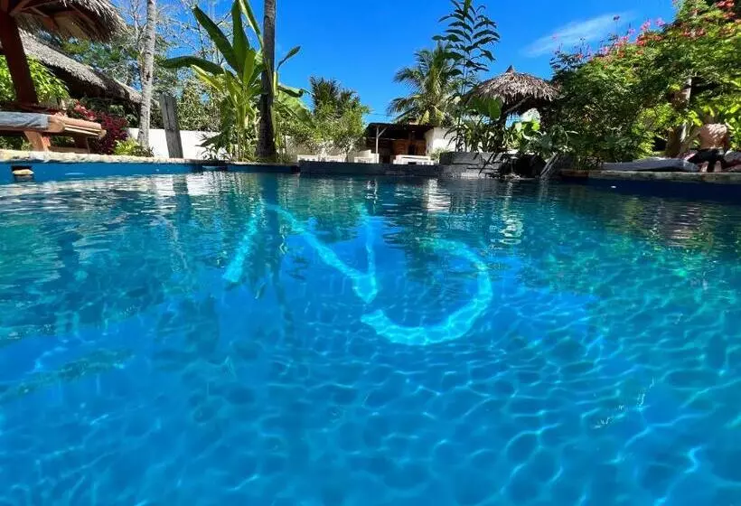 هتل Natshi Lodge