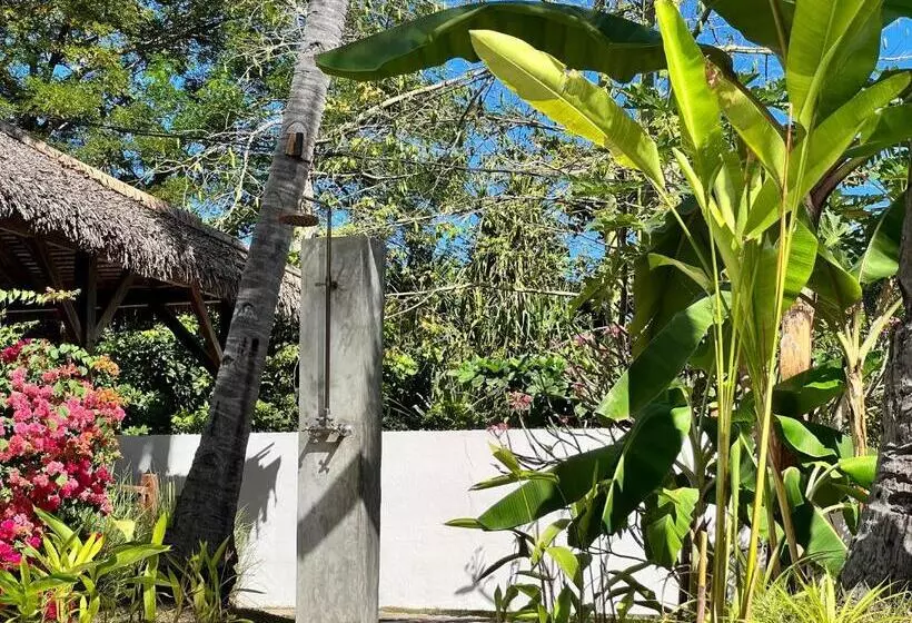 هتل Natshi Lodge