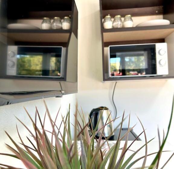 פנסיון Protea Guesthouse