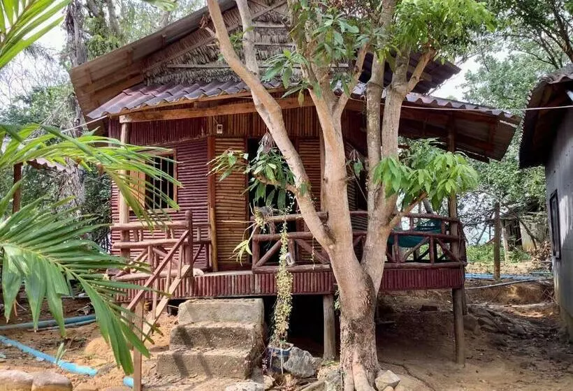ユースホステル Cocohuts