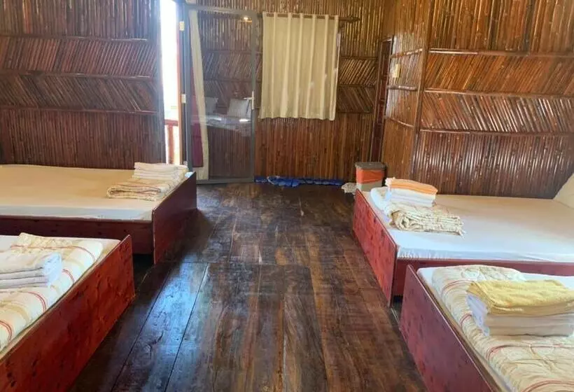 تختخواب و صبحانه Bungalow Homestay Làng Bè