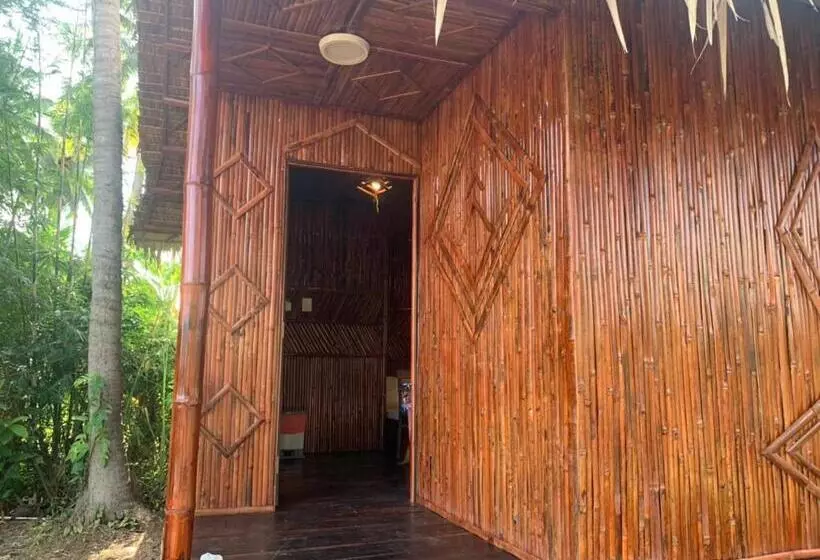 تختخواب و صبحانه Bungalow Homestay Làng Bè