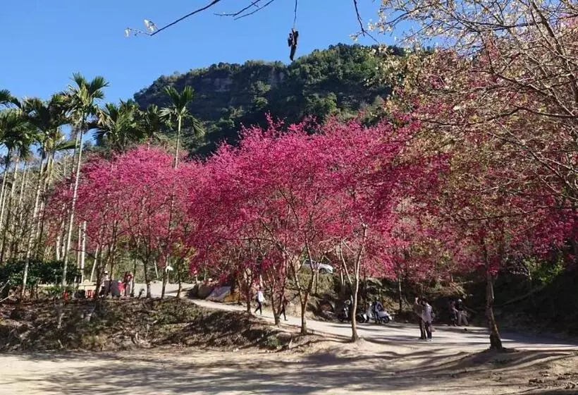 تختخواب و صبحانه Ming Camphor Homestay