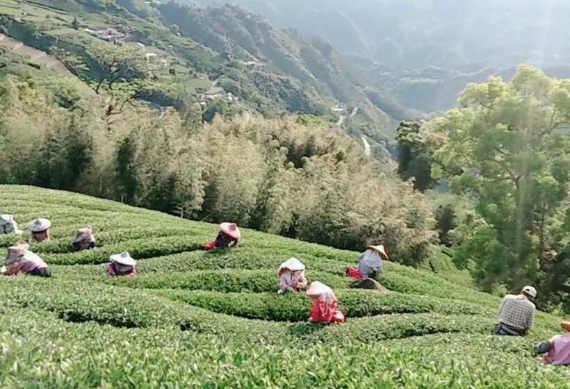تختخواب و صبحانه Ming Camphor Homestay
