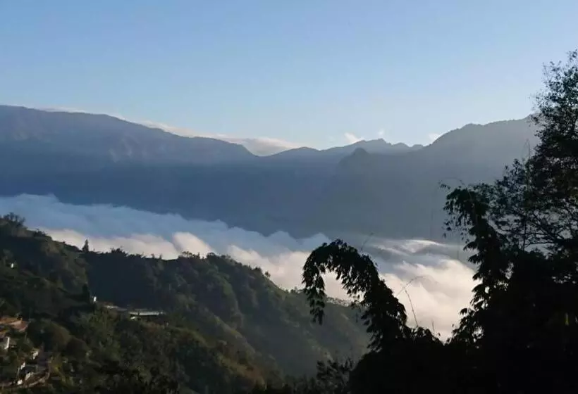 تختخواب و صبحانه Ming Camphor Homestay