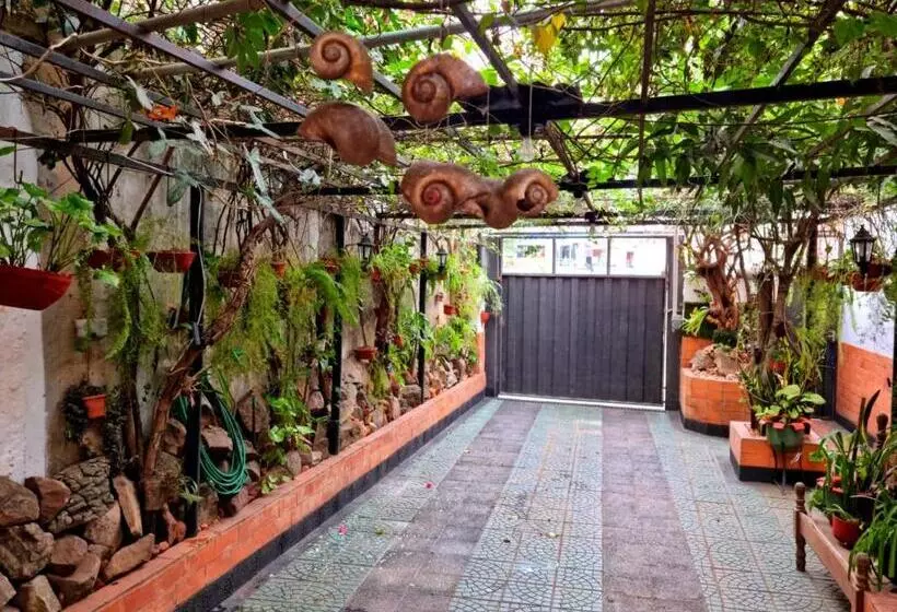 پانسیون Hostal Jardín De Luque
