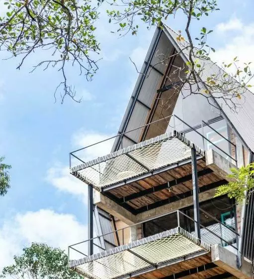 Wild Bee Hostel