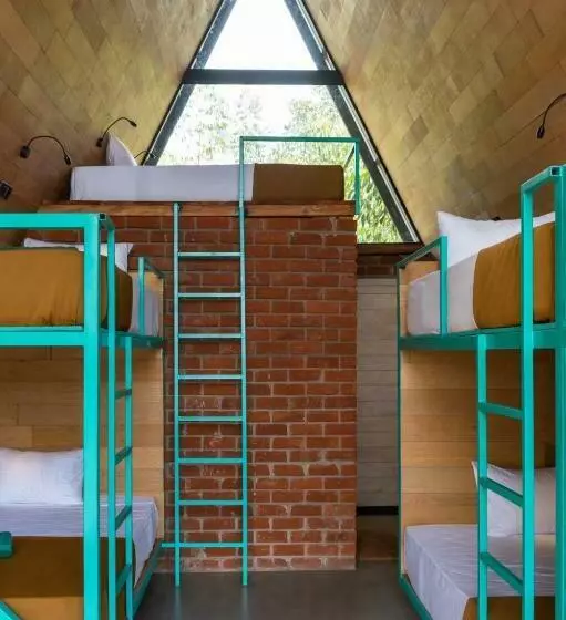 Wild Bee Hostel