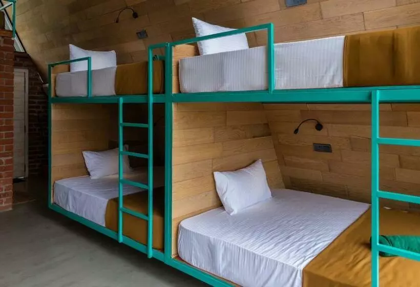 Wild Bee Hostel