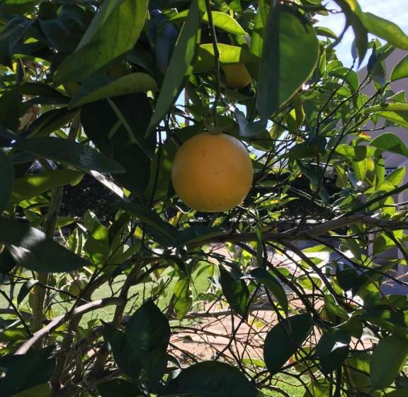 Getaways At Vista Mirage Resort