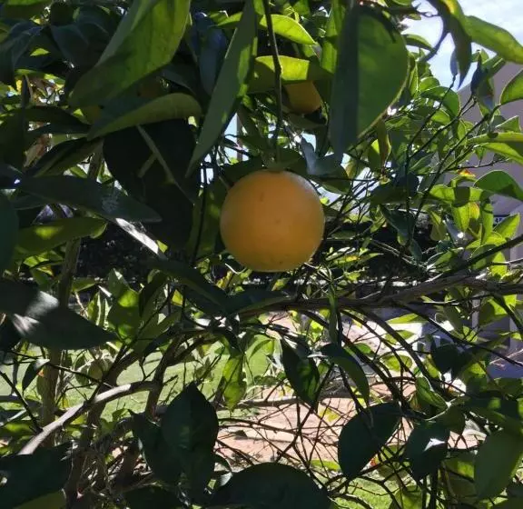 Getaways At Vista Mirage Resort