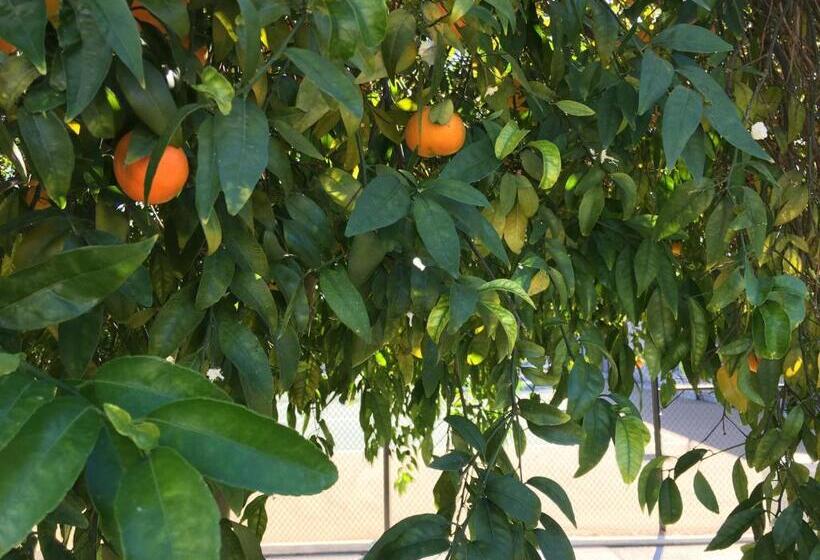 Getaways At Vista Mirage Resort