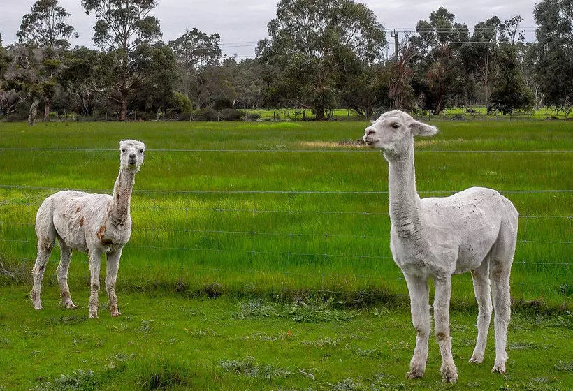 ホテル Dunsborough Rail Carriages & Farm Cottages
