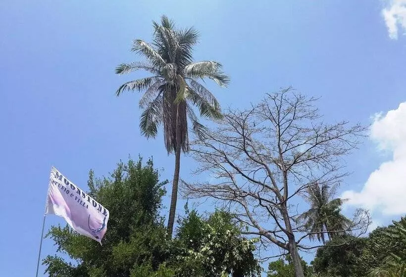 Hotel Moonstone Studio