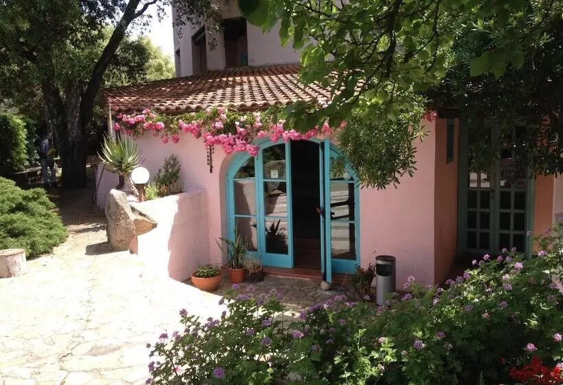 Отель Scintilla