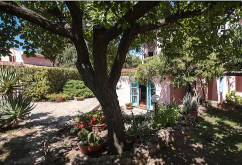 בית מלון כפרי Scintilla