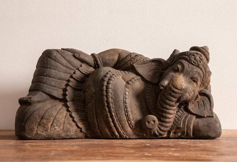 בית מלון כפרי Seven Maze Charming House