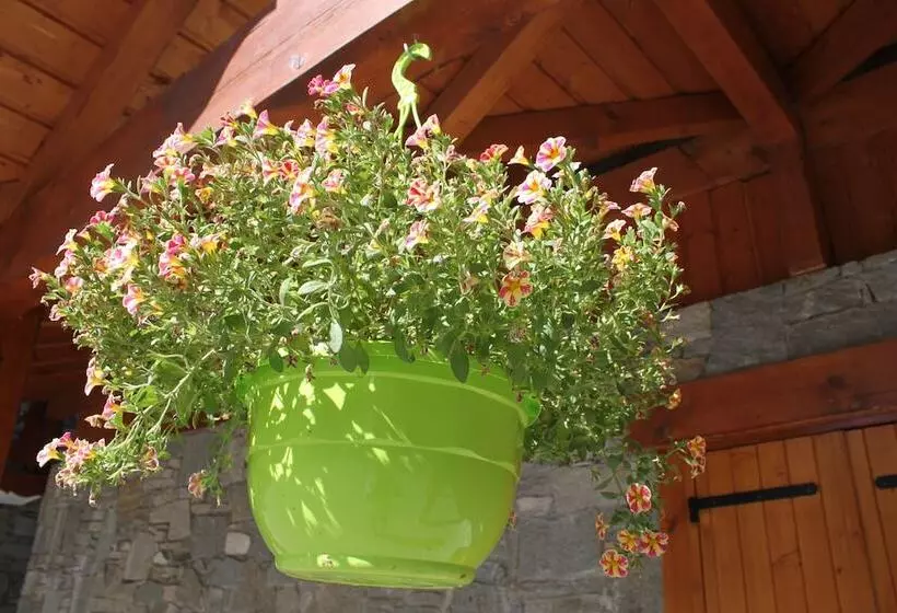 Residence Chalet De L Adonis