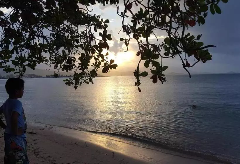 渡假胜地  Tse Residence [by Samui Emerald]