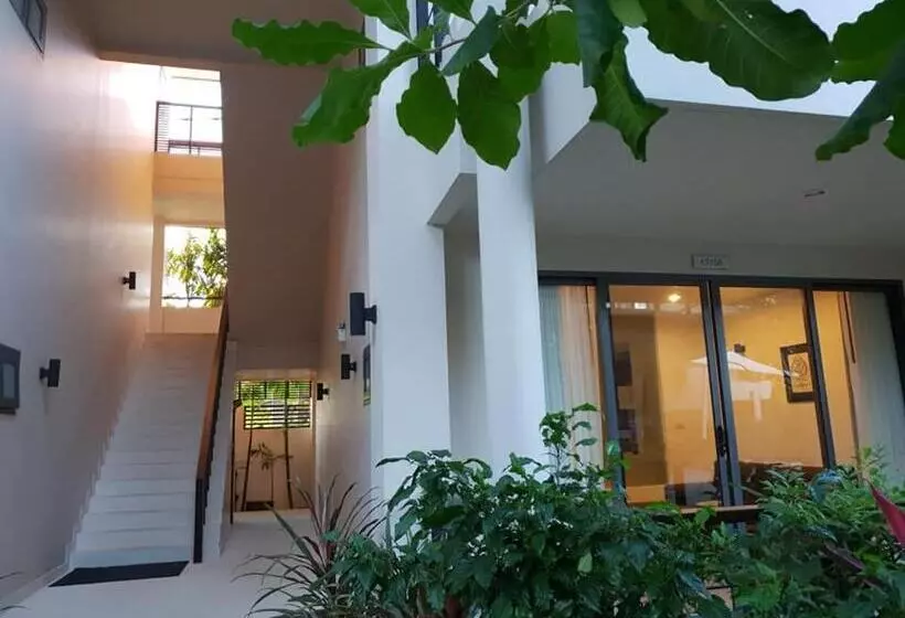 渡假胜地  Tse Residence [by Samui Emerald]