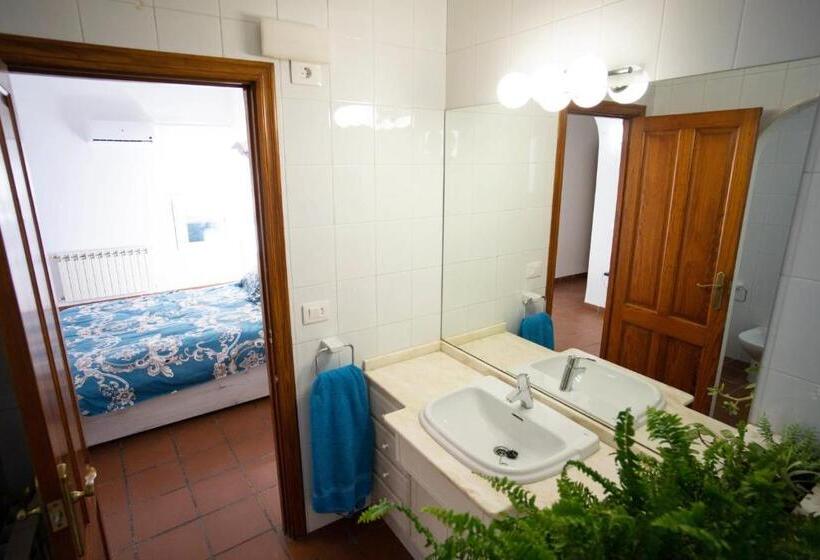 هاستل Residencial Art Brut