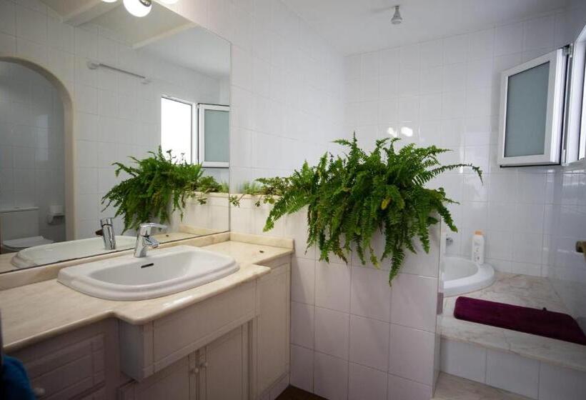 هاستل Residencial Art Brut