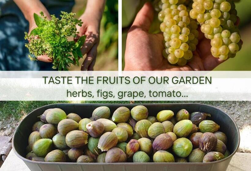 ベッドアンドブレックファースト Guesthouse Kamniti Rob