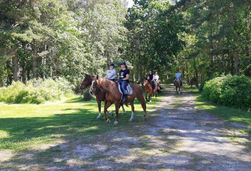 هتل Ratsu Turismitalu