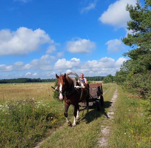 هتل Ratsu Turismitalu