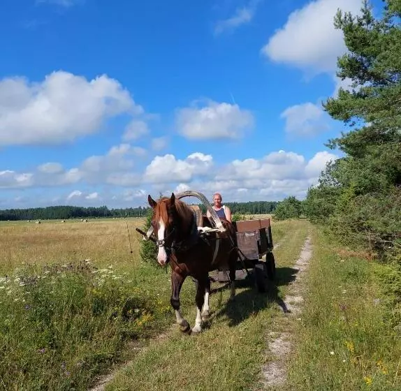 هتل Ratsu Turismitalu
