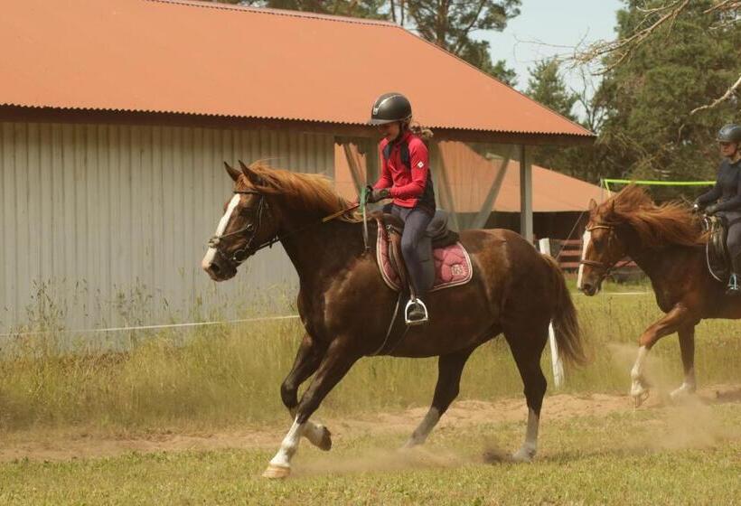 هتل Ratsu Turismitalu