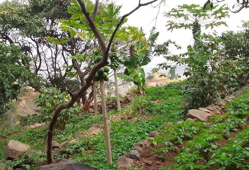 هتل São Jorge Village