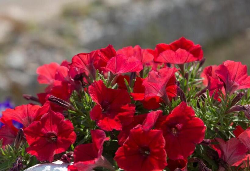 Li Pali Hotel & Restaurant