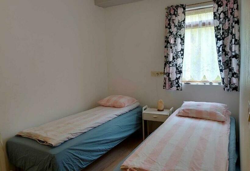 پانسیون Bergistangi Guest House