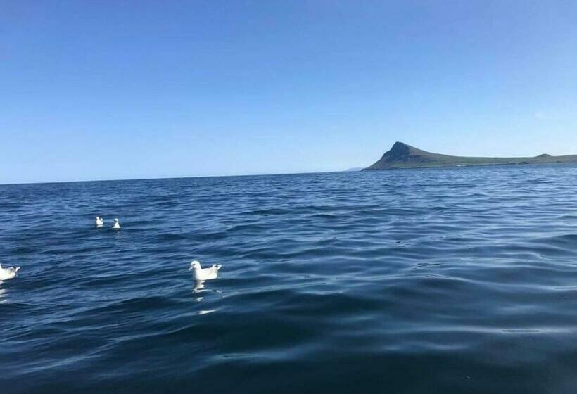 پانسیون Bergistangi Guest House