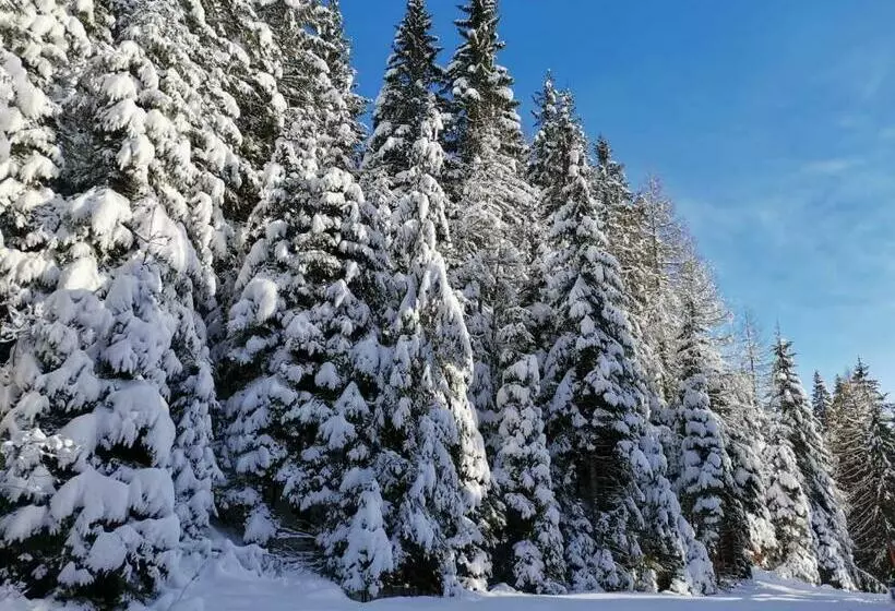 Majatalo Gästehaus Hebalm, Family & Friends Auf 900 M2 Wohnfläche Erleben, Alleinnutzung Möglich