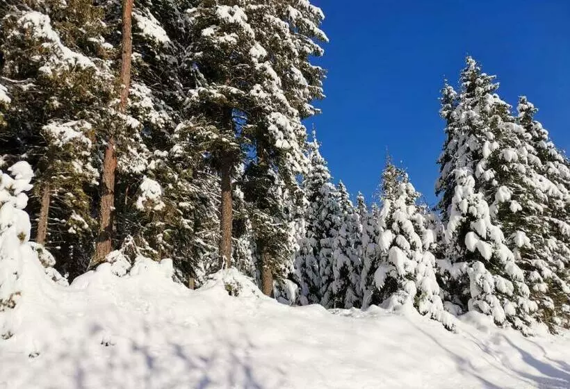 Majatalo Gästehaus Hebalm, Family & Friends Auf 900 M2 Wohnfläche Erleben, Alleinnutzung Möglich