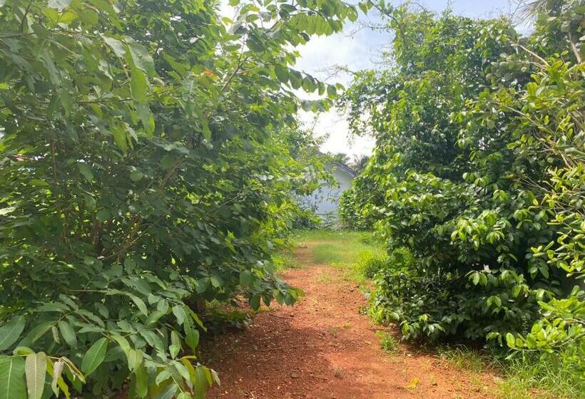 Pensjonat Santhosh Ayurvidhana Health Resort