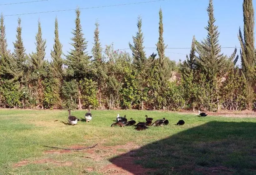 Majatalo Villa Giulia & Soley