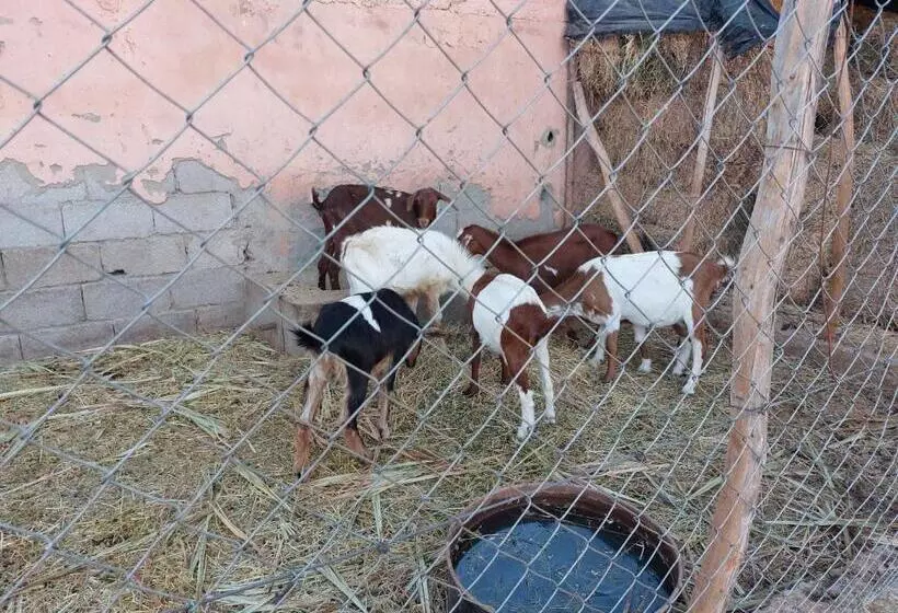 Majatalo Villa Giulia & Soley