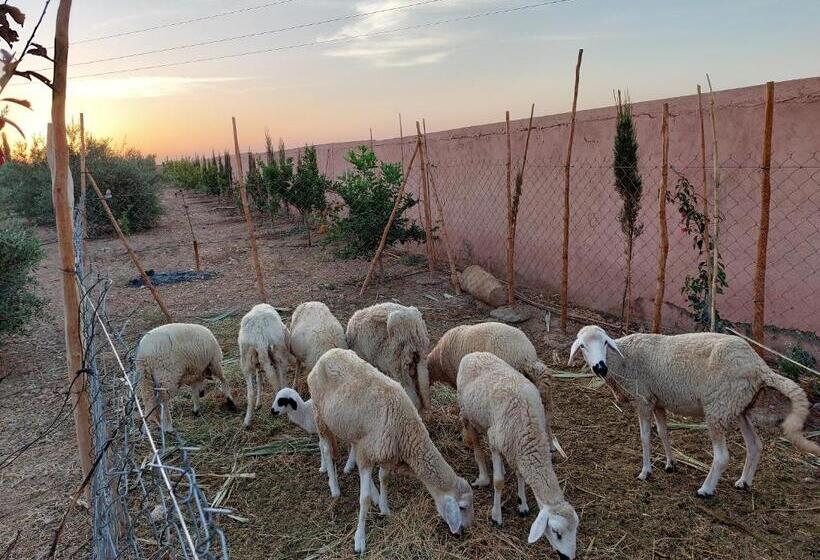 Pension Villa Giulia & Soley