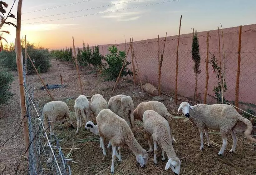 Majatalo Villa Giulia & Soley