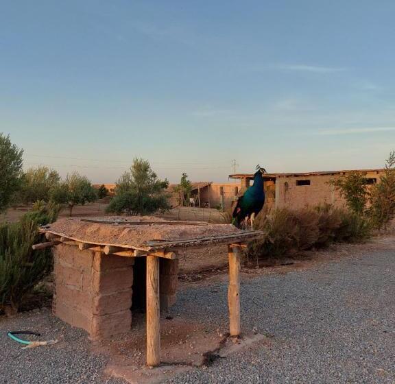 Pension Villa Giulia & Soley